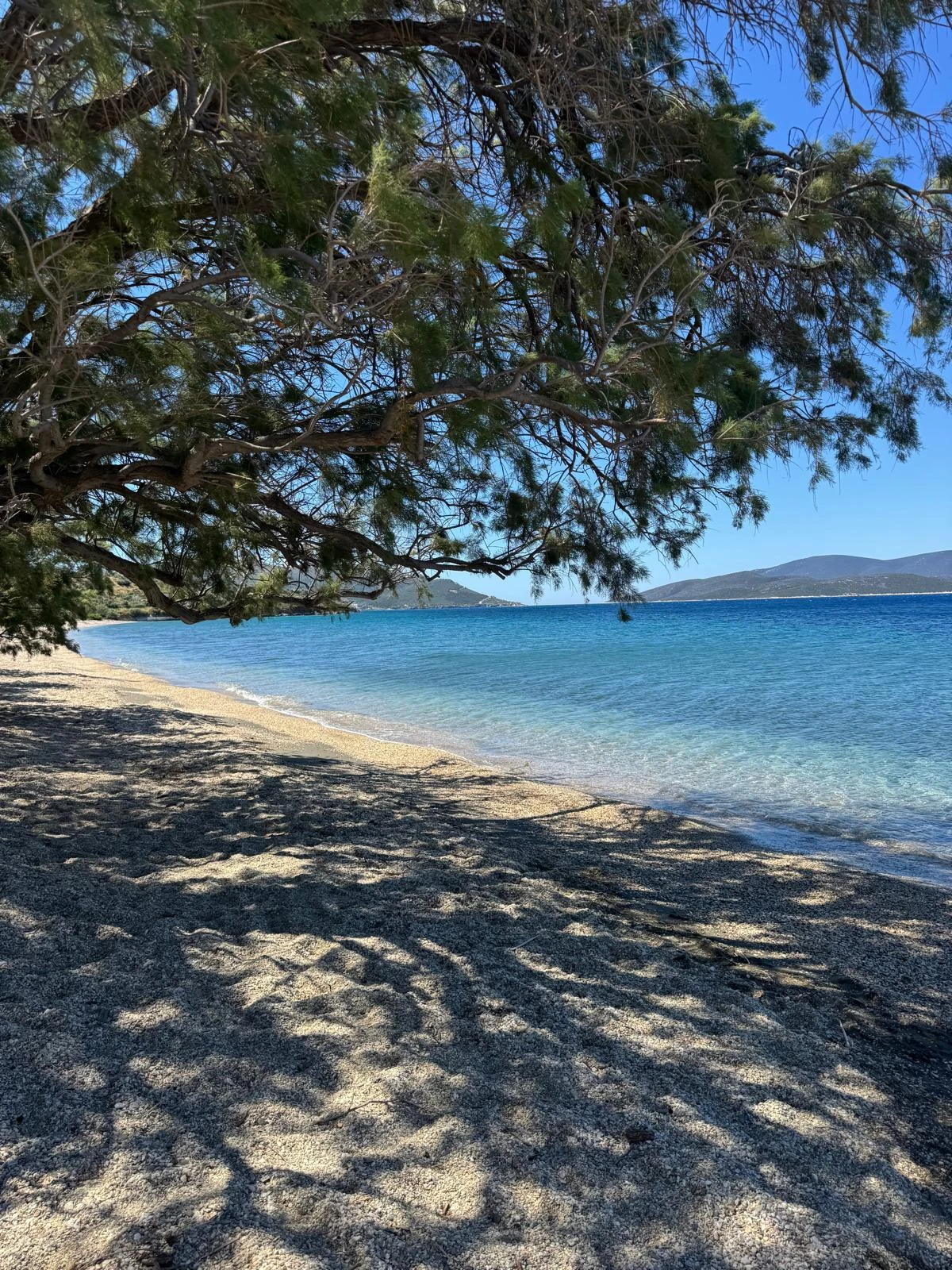 Küste von Evia · Ruhe im Schatten der Bäume